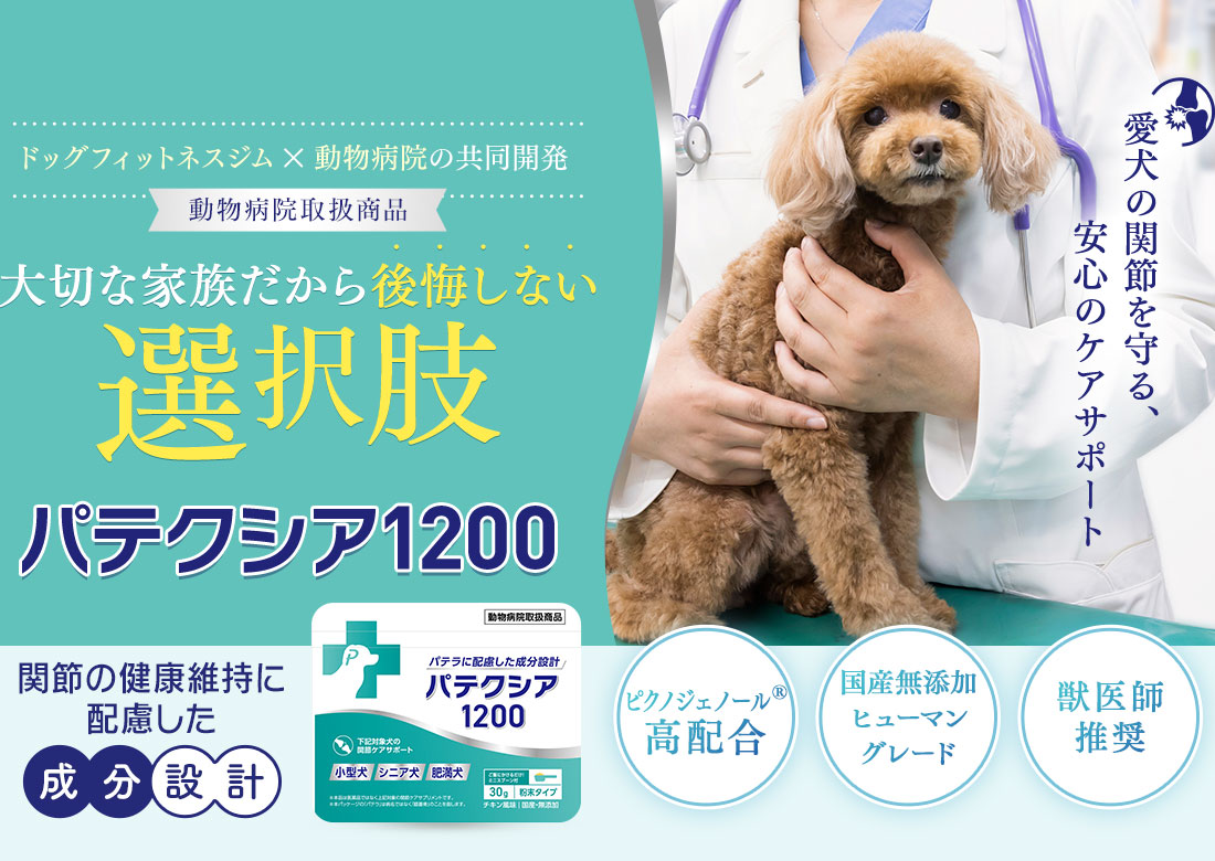 大切な家族だから後悔しない選択パテクシア1200