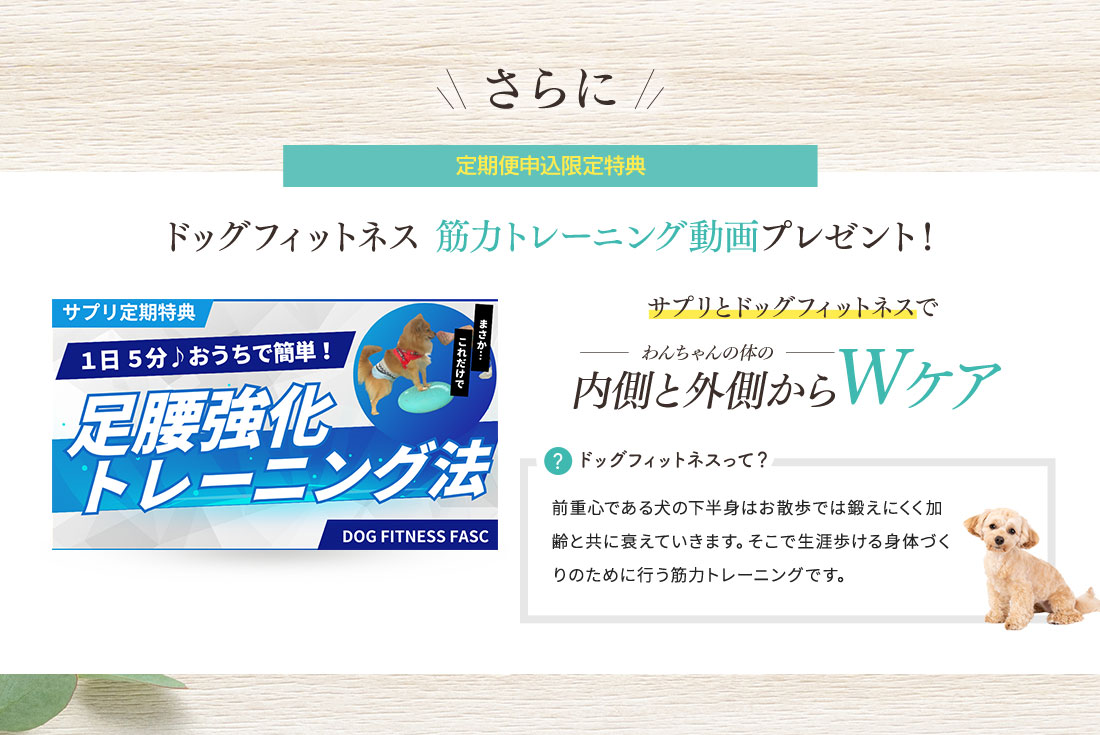 さらに定期便申込限定特典 ドッグフィットネス筋力トレーニング動画プレゼント！